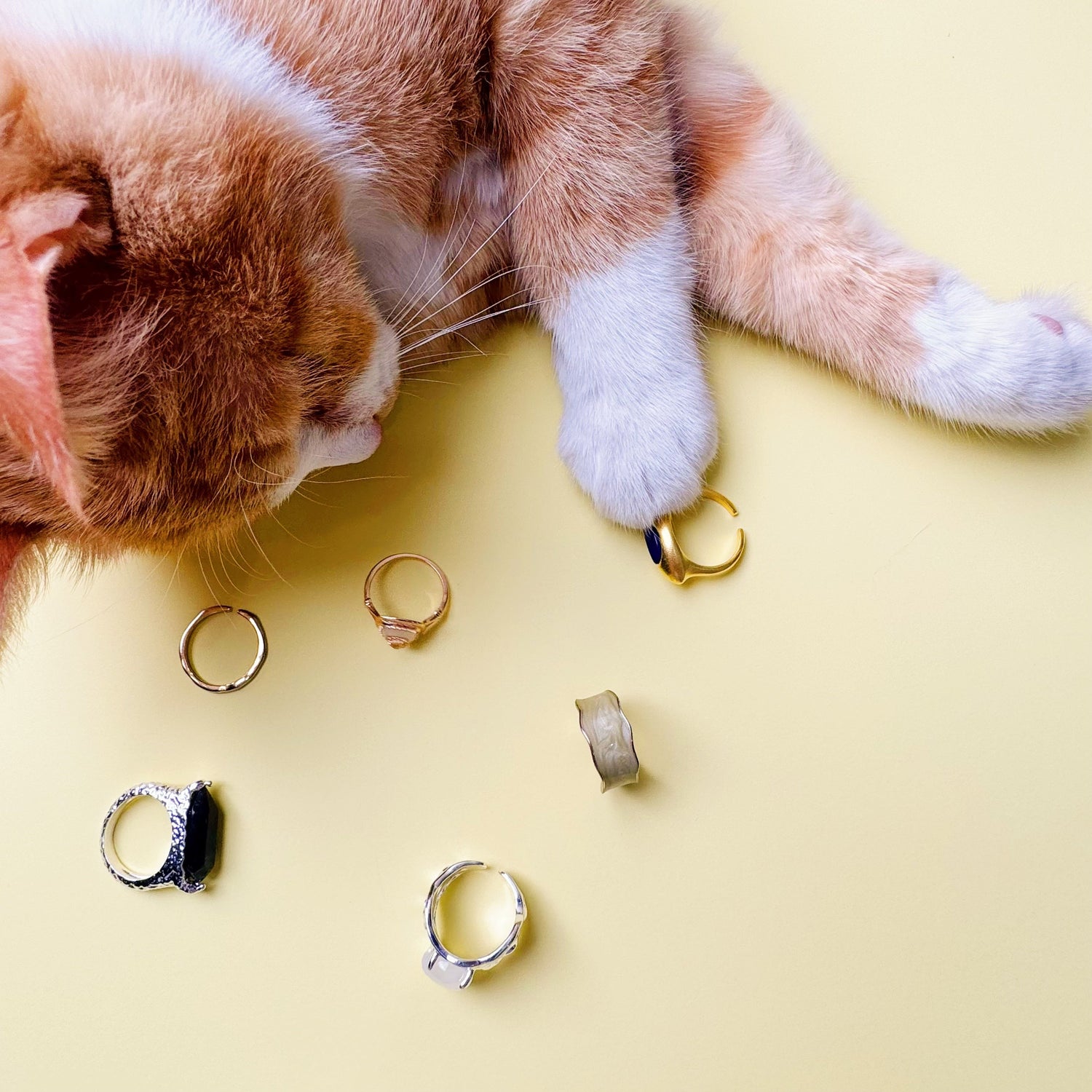 Rings & Earrings